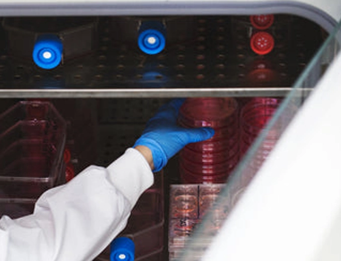 ¿Por qué la Incubadora es esencial para la investigación moderna?