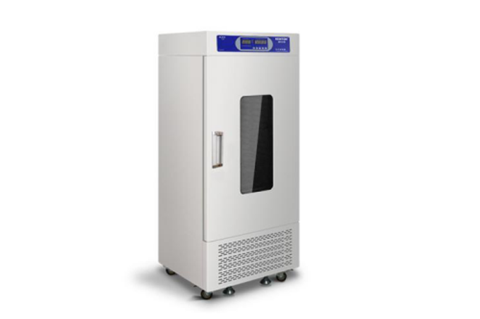 Bs incubadora agitada