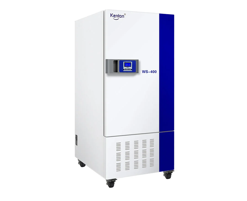 Cámara incubadora de humedad de temperatura programable WS(MJ)