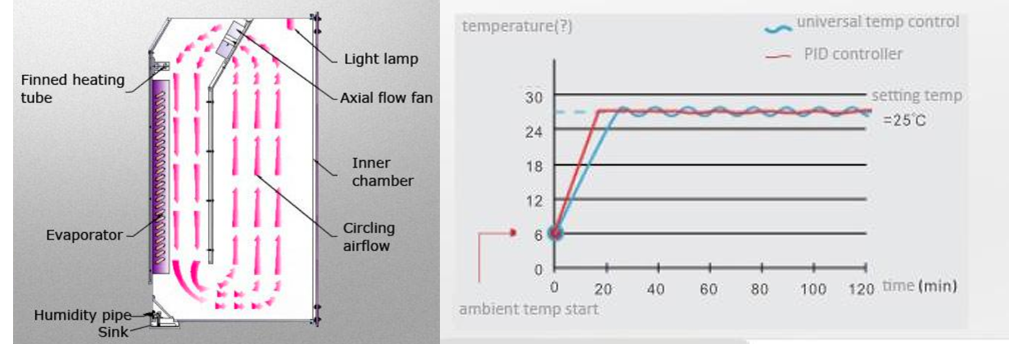 Sistema de movimiento avanzado