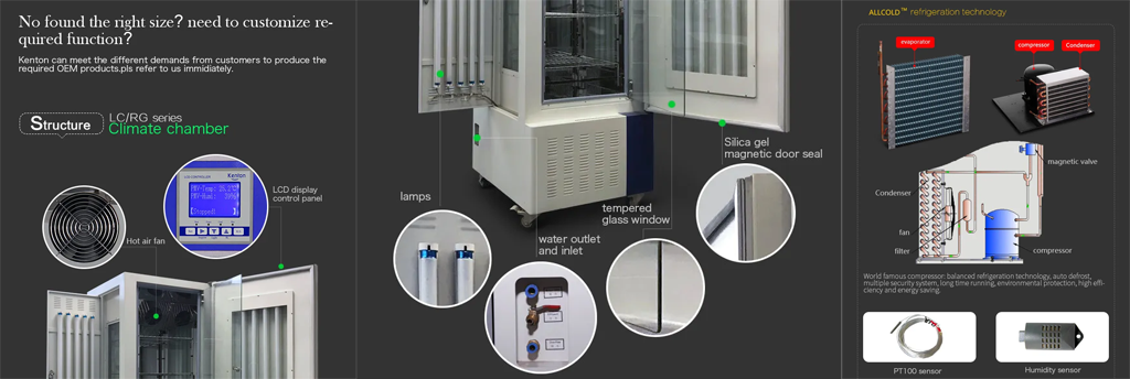 Simulación dinámica del clima
