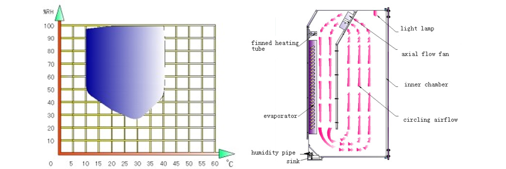 Simulación de crecimiento natural