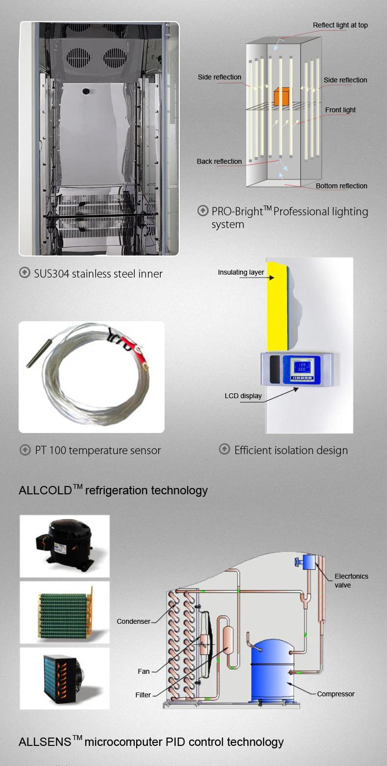 LC Lighting Incubator.webp
